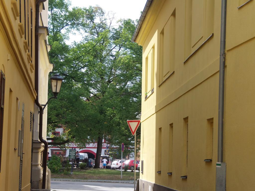 Penzion Netolice Экстерьер фото